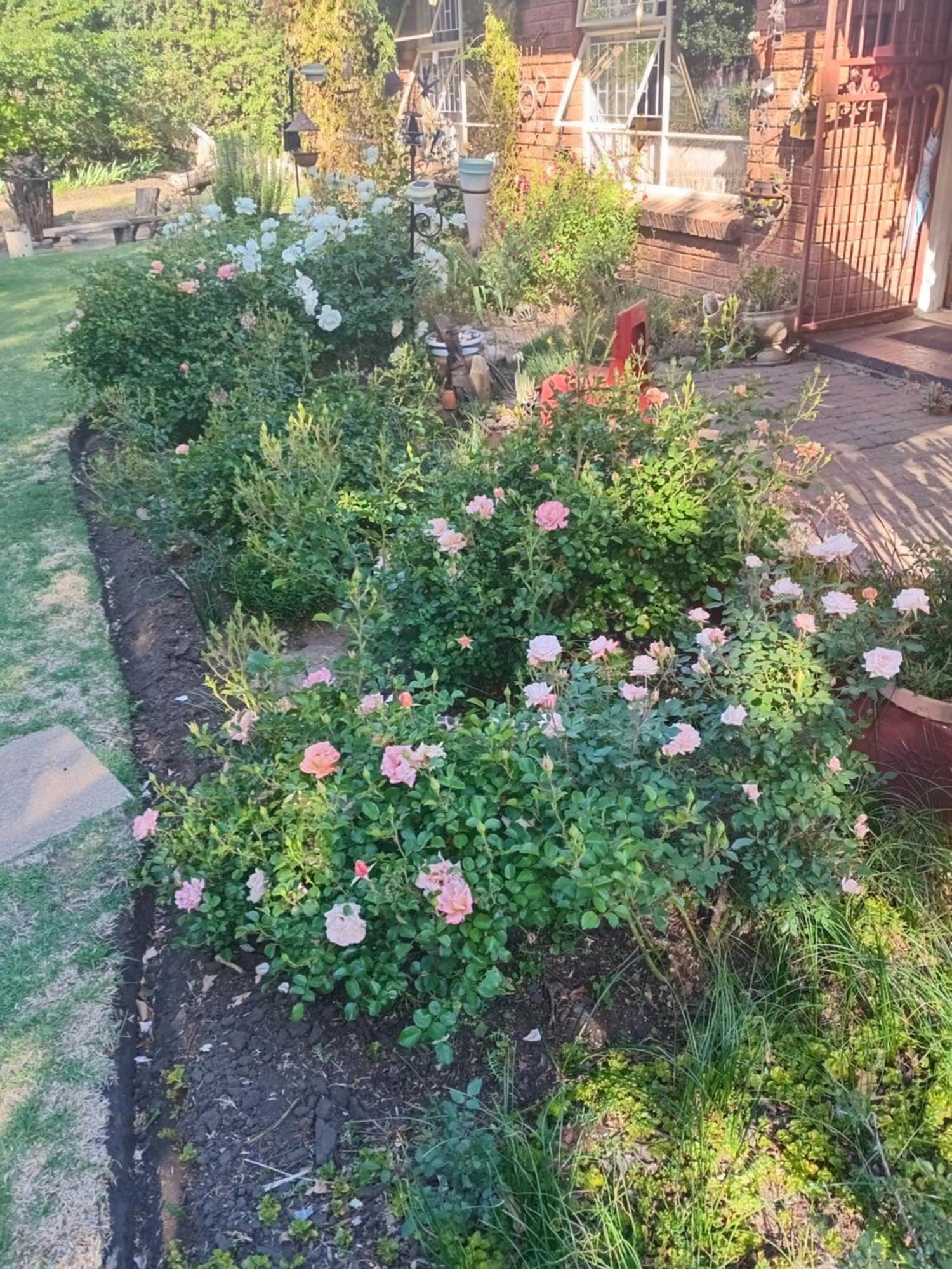 Amani Guest House Clarens Exterior photo